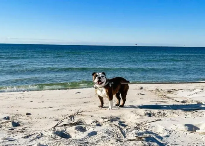 The Ona - Walk To Beach, Heated Pool, Pets Ok Gulf Shores