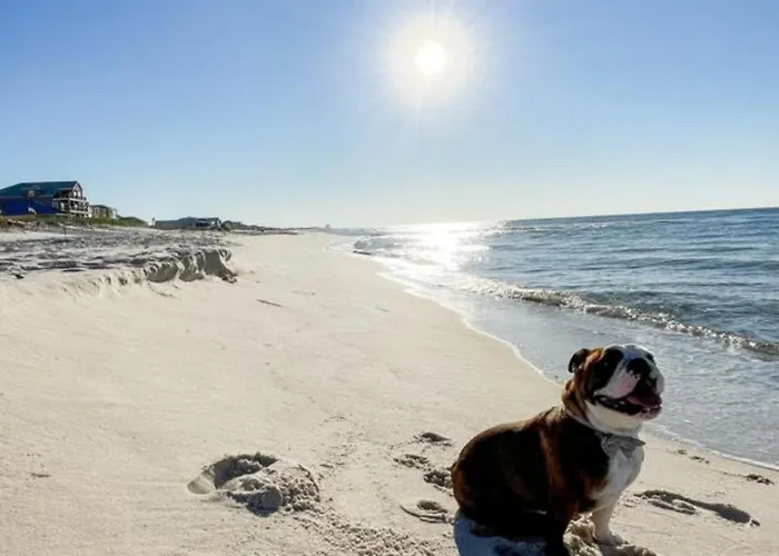 Holiday home The Ona - Walk To Beach, Heated Pool, Pets Ok *